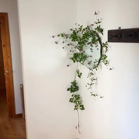別荘 Casa Cecilia
