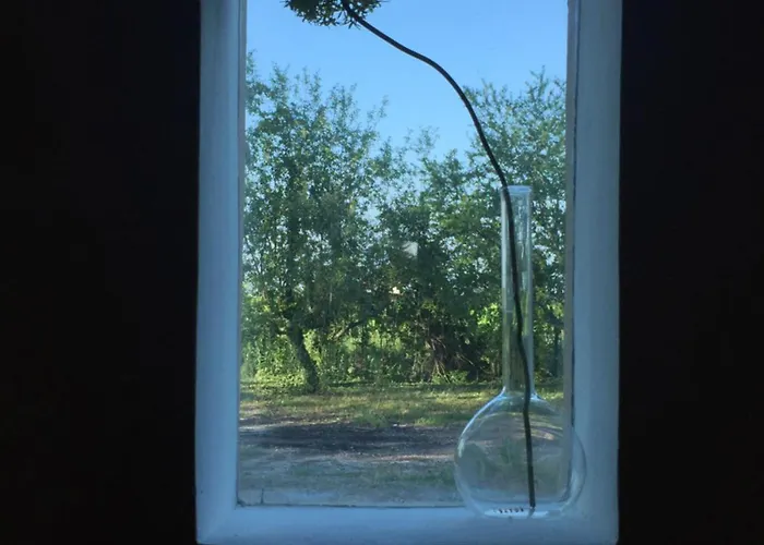 Hébergement de vacances Casa Cecilia *