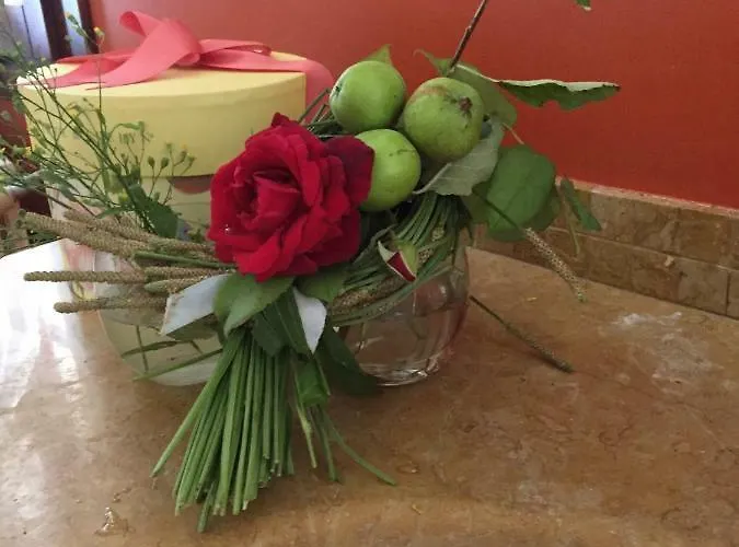 Hébergement de vacances Casa Cecilia Salgareda